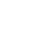 fl-single-icon